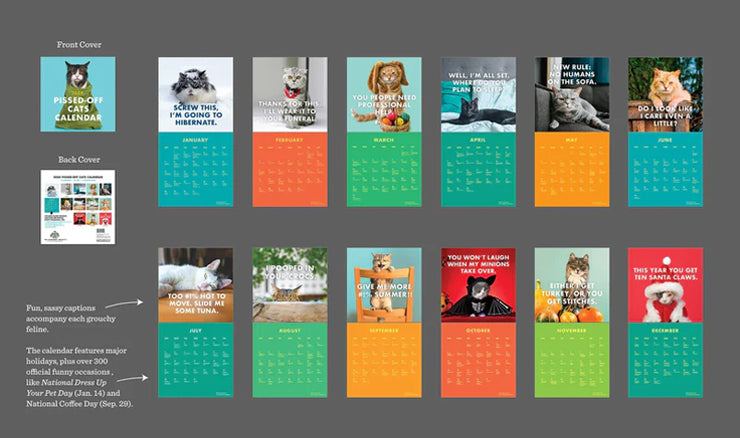 2025 Verärgerte Katzen Kalender