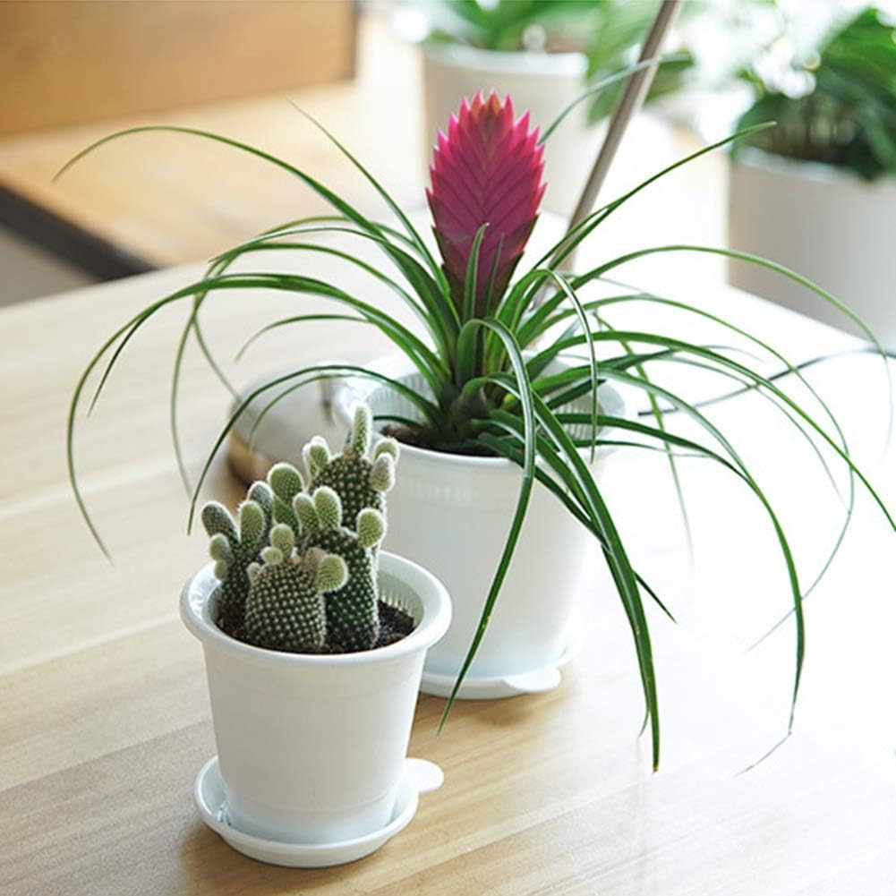 Sandsberg | Atmungsaktiver Wurzelkontroll-Topf für Pflanzen – Ideal für gesundes Wachstum und optimale Belüftung