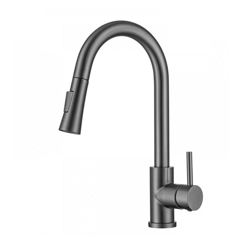 Sandsberg | Moderner Stil Ausziehbarer Spülbecken Wasserhahn Einhand Edelstahl Spülbecken Wasserhahn