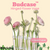 Budcase Hinged Blumenvasen