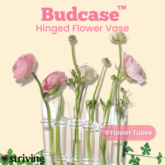Budcase Hinged Blumenvasen