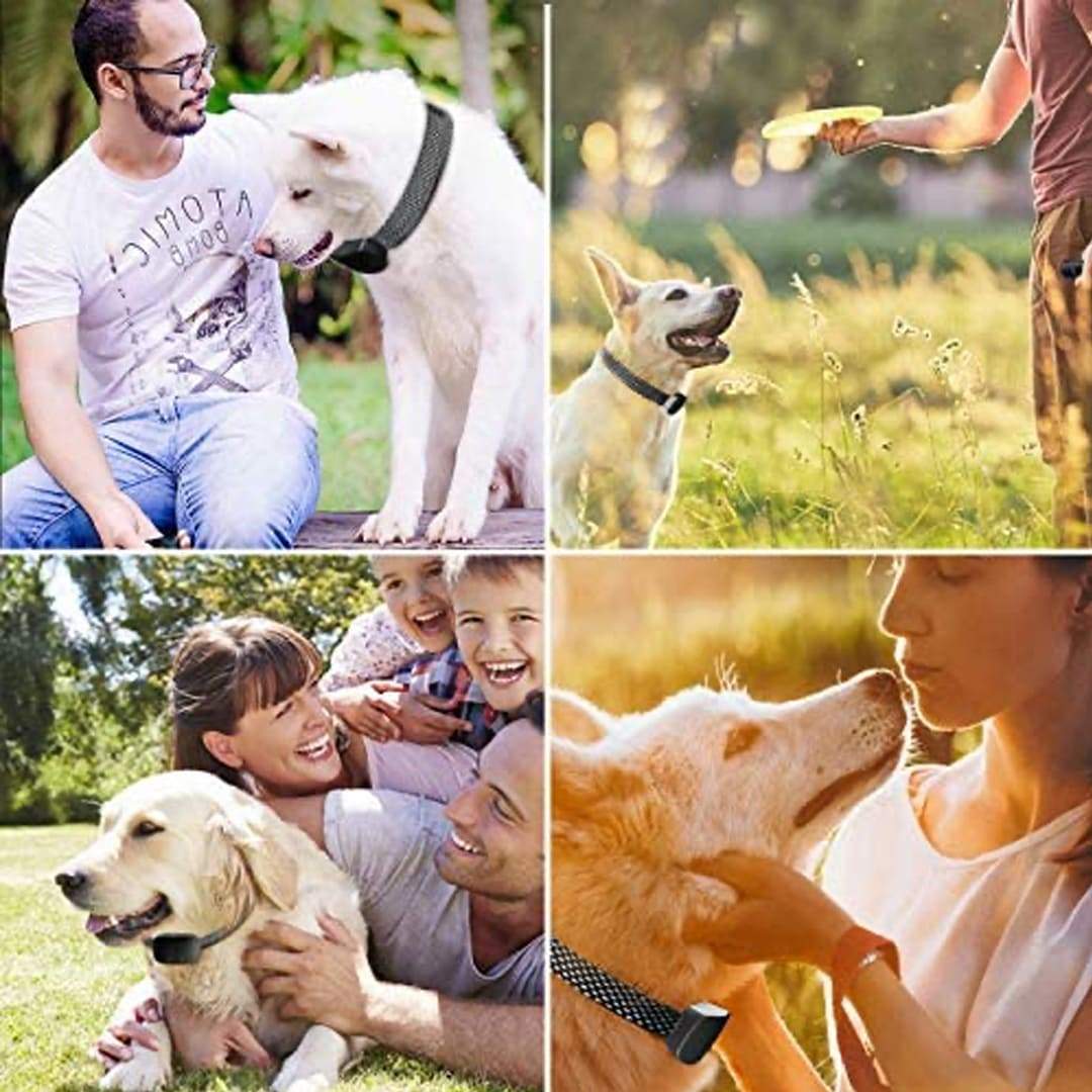 Sandsberg | Pro – Hochwertiges Effektives Anti-Bell-Halsband Für Hunde