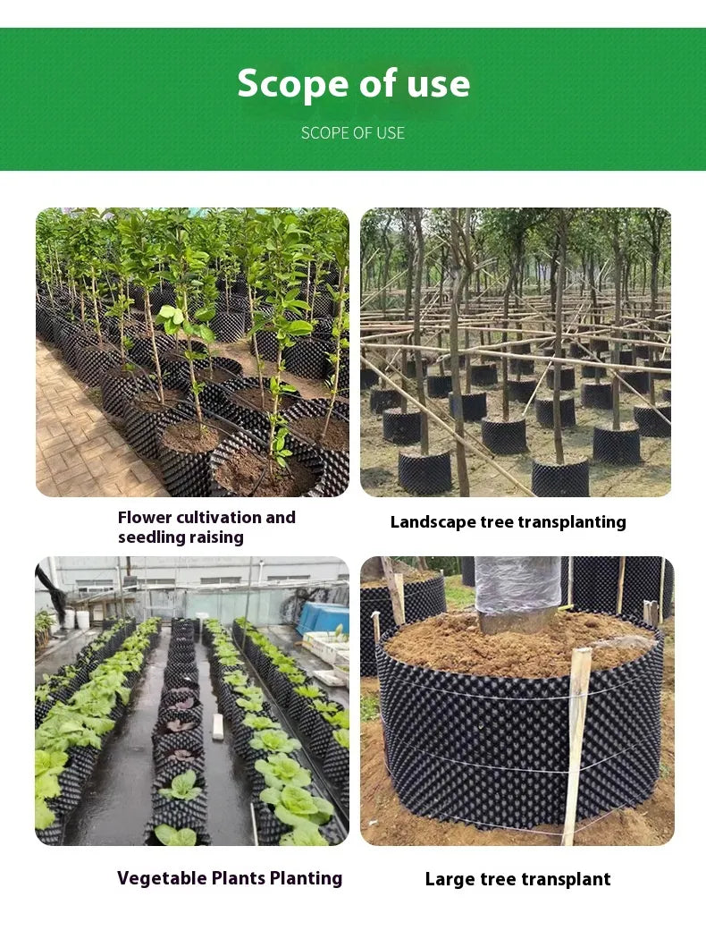 Sandsberg | Wurzelkontrollgerät für Pflanzen und Landschaftsgestaltung zur Förderung des gesunden Wachstums