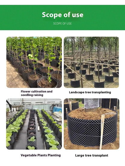 Sandsberg | Wurzelkontrollgerät für Pflanzen und Landschaftsgestaltung zur Förderung des gesunden Wachstums