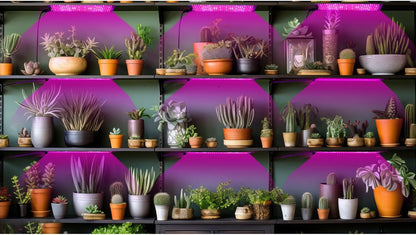 Sandsberg | LED Quantum Pflanzenlicht Panel für Wachstum und Farbförderung – Mit einstellbarem Lichtmodus