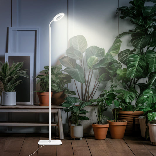 Sandsberg | Mistyjungle Wachstumslicht für Zimmerpflanzen, Boden Vollspektrum Pflanzenlicht mit Ständer, große Wachstumslichter mit automatischem Timer, höhenverstellbar von 60 Zoll, 10 Stufen dimmbar, weißes Halo LED Wachstumslicht