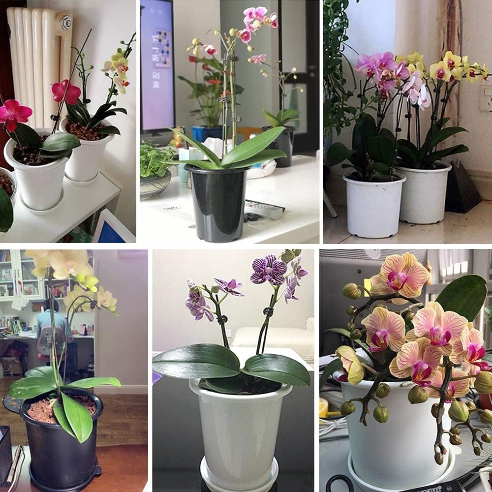 Sandsberg | Atmungsaktiver Wurzelkontroll-Topf für Pflanzen – Ideal für gesundes Wachstum und optimale Belüftung