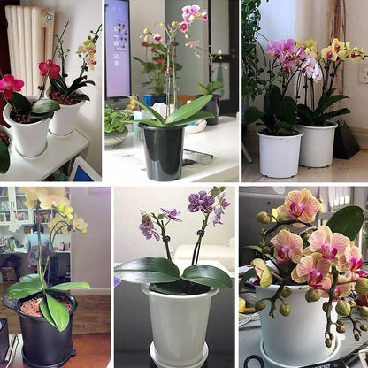 Sandsberg | Atmungsaktiver Wurzelkontroll-Topf für Pflanzen – Ideal für gesundes Wachstum und optimale Belüftung