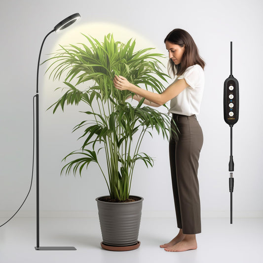 Sandsberg | Glowrium Wachstumslicht für Zimmerpflanzen, 20W LED Pflanzwachstumslicht mit automatischem Timer, Full Spectrum höhenverstellbares Steh-Pflanzwachstumslicht, 3 Lichtmodi, 6-stufig dimmbar (Schwarz)
