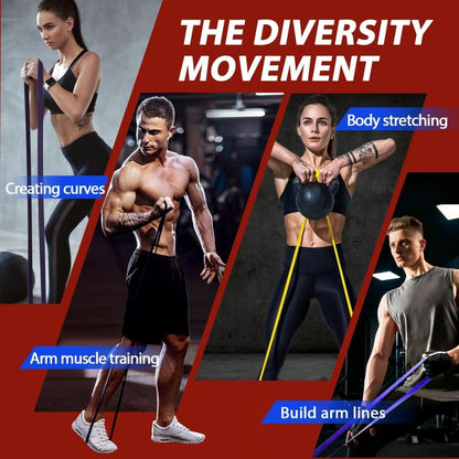 Sandsberg | Widerstandsband-Set für Klimmzüge & Krafttraining