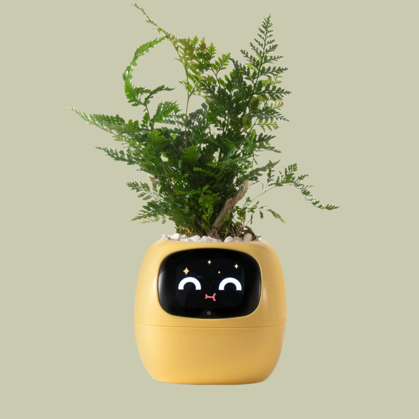 Sandsberg | VerdeGlow – Selbstbewässernder Smart-Pflanzen Topf | Automatische Bewässerung | Moderner Indoor-Pflanzer