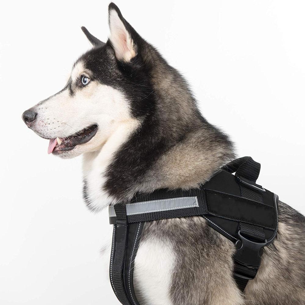 Reflektierendes, nicht ziehendes Hundegeschirr