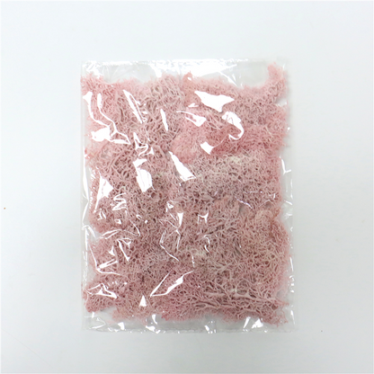 Sandsberg | Künstliches Moos für Landschaftsgestaltung – Moos und Blumen für Dekoration und Floristik