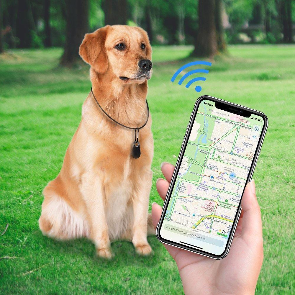 GPS-Tracker und Aktivitätsmonitor für Haustiere
