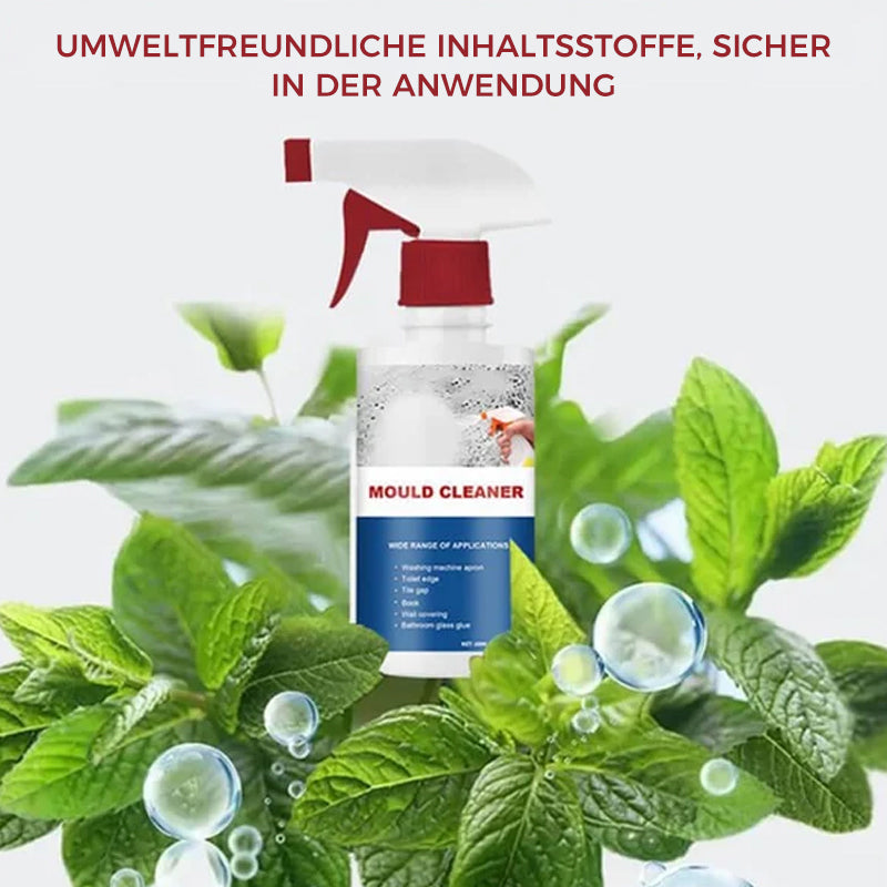 Foam | Effektiver Anti-Schimmel Reinigungsschaum