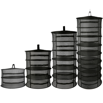 Sandsberg | Faltbarer Trocknungskorb für Obst, Gemüse und Kräuter – Mehrstufige Netzablage für schnellen Trocknungsprozess