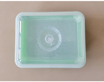 Sandsberg | Keimschalen mit Deckel – Doppelschichtiger Saatguttausbringtray für effektive Samenkeimung