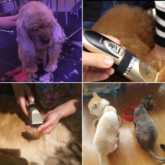 Sandsberg | Professioneller wiederaufladbarer Katzen- und Hundeschneider