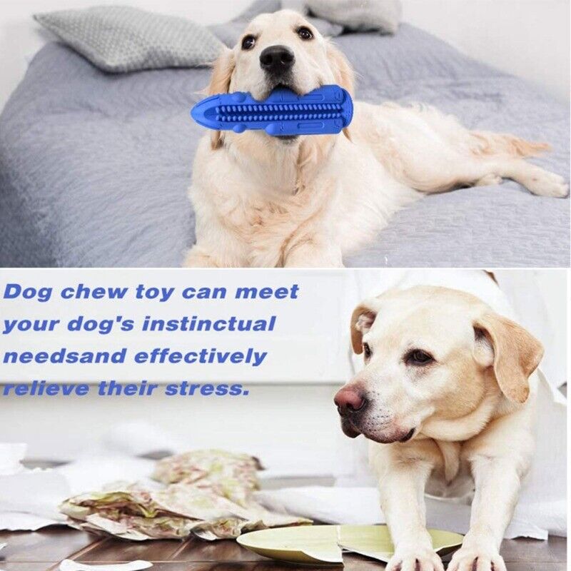 Kauspielzeug für Hunde