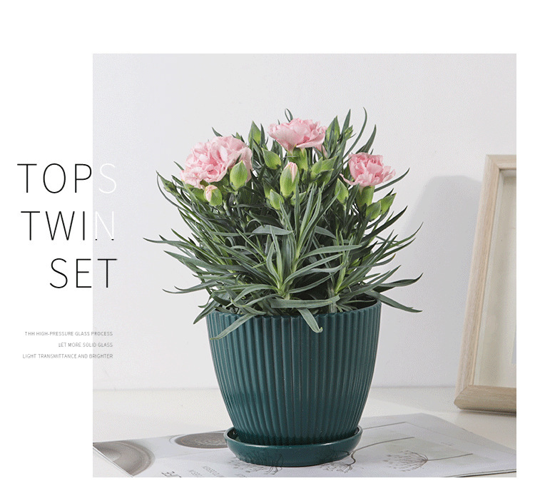 Sandsberg | Blumentopf mit Rillenstruktur und Untersetzer – Stabiler Kunststofftopf für Pflanzen