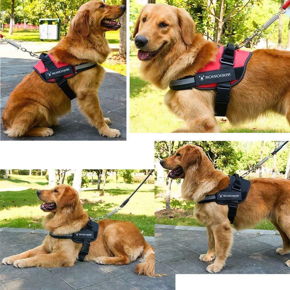 Reflektierendes, nicht ziehendes Hundegeschirr
