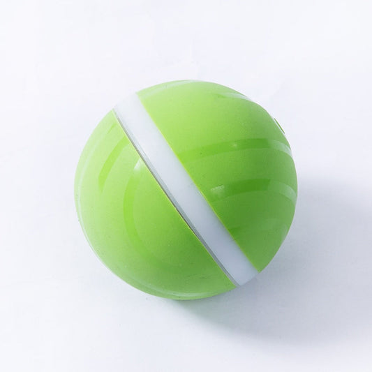 LED Haustier Ball