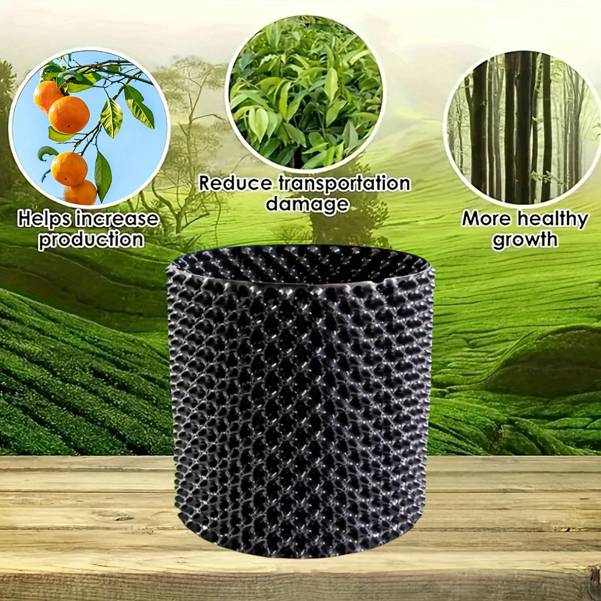 Sandsberg | Wurzelkontrollgerät für Pflanzen und Landschaftsgestaltung zur Förderung des gesunden Wachstums