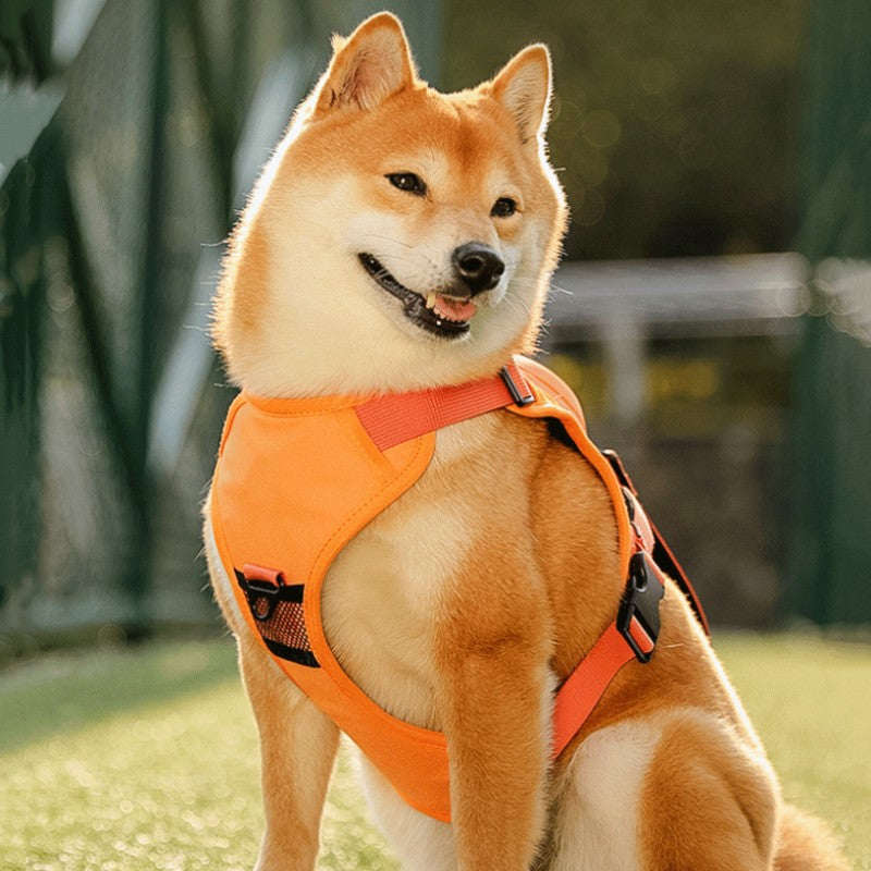 Sandsberg | Pet Brust-Rücken Integrierte Automatische Einziehbare Leine