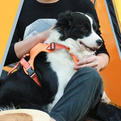 Sandsberg | Pet Brust-Rücken Integrierte Automatische Einziehbare Leine