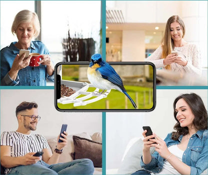 Sandsberg | Smarter Solar-Vogelhäuschen mit Vogelerkennung – Wetterfester Gartenfütterer