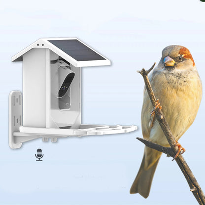 Sandsberg | Smarter Solar-Vogelhäuschen mit Vogelerkennung – Wetterfester Gartenfütterer