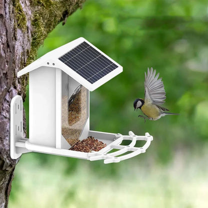 Sandsberg | Smarter Solar-Vogelhäuschen mit Vogelerkennung – Wetterfester Gartenfütterer