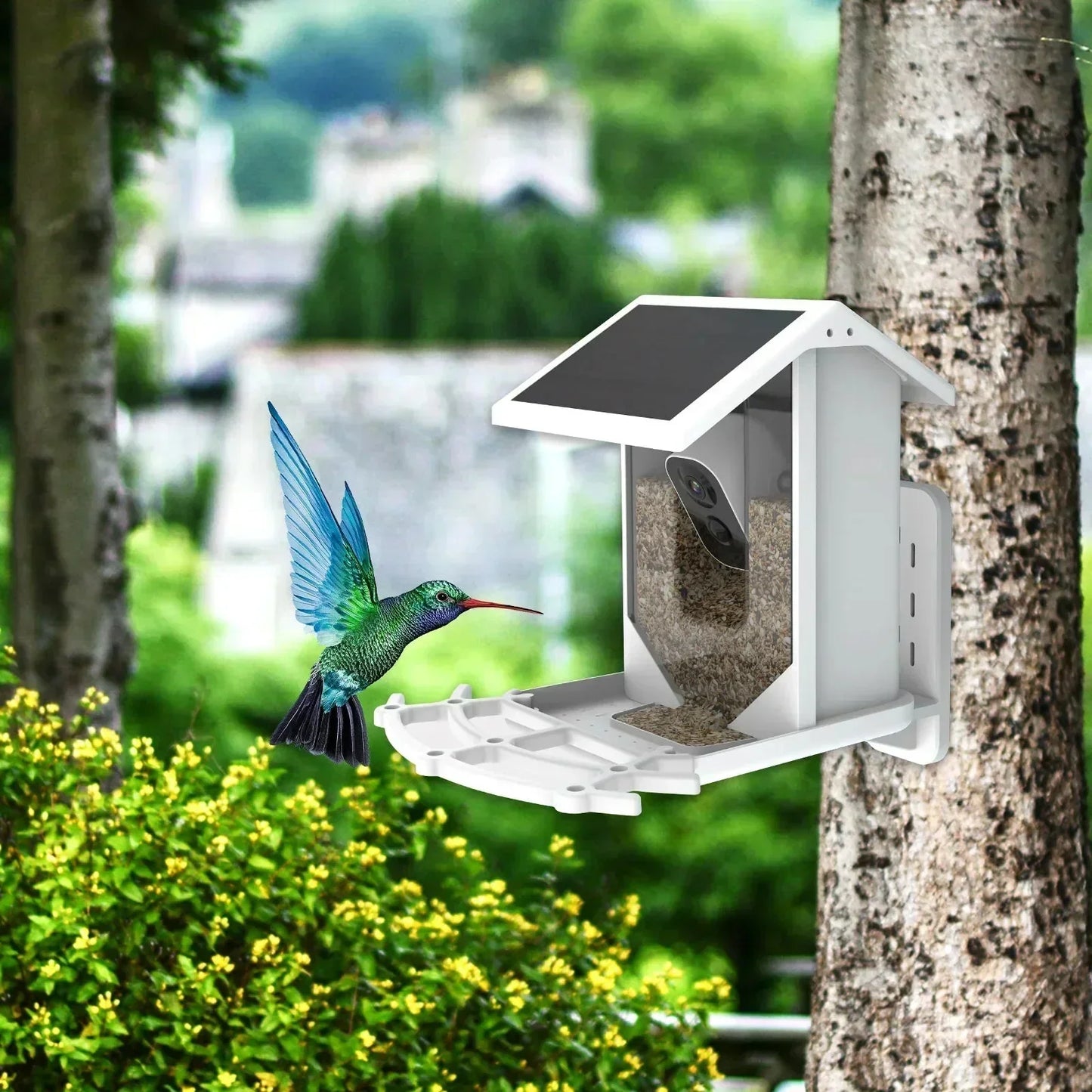 Sandsberg | Smarter Solar-Vogelhäuschen mit Vogelerkennung – Wetterfester Gartenfütterer