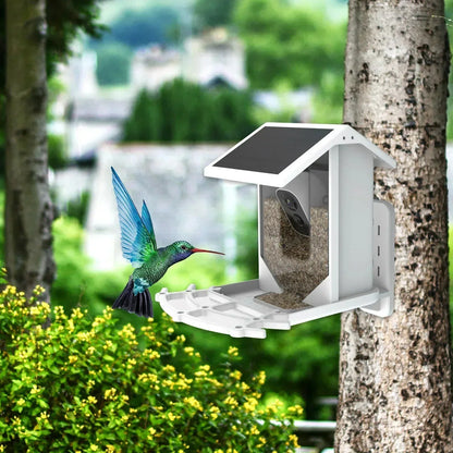 Sandsberg | Smarter Solar-Vogelhäuschen mit Vogelerkennung – Wetterfester Gartenfütterer