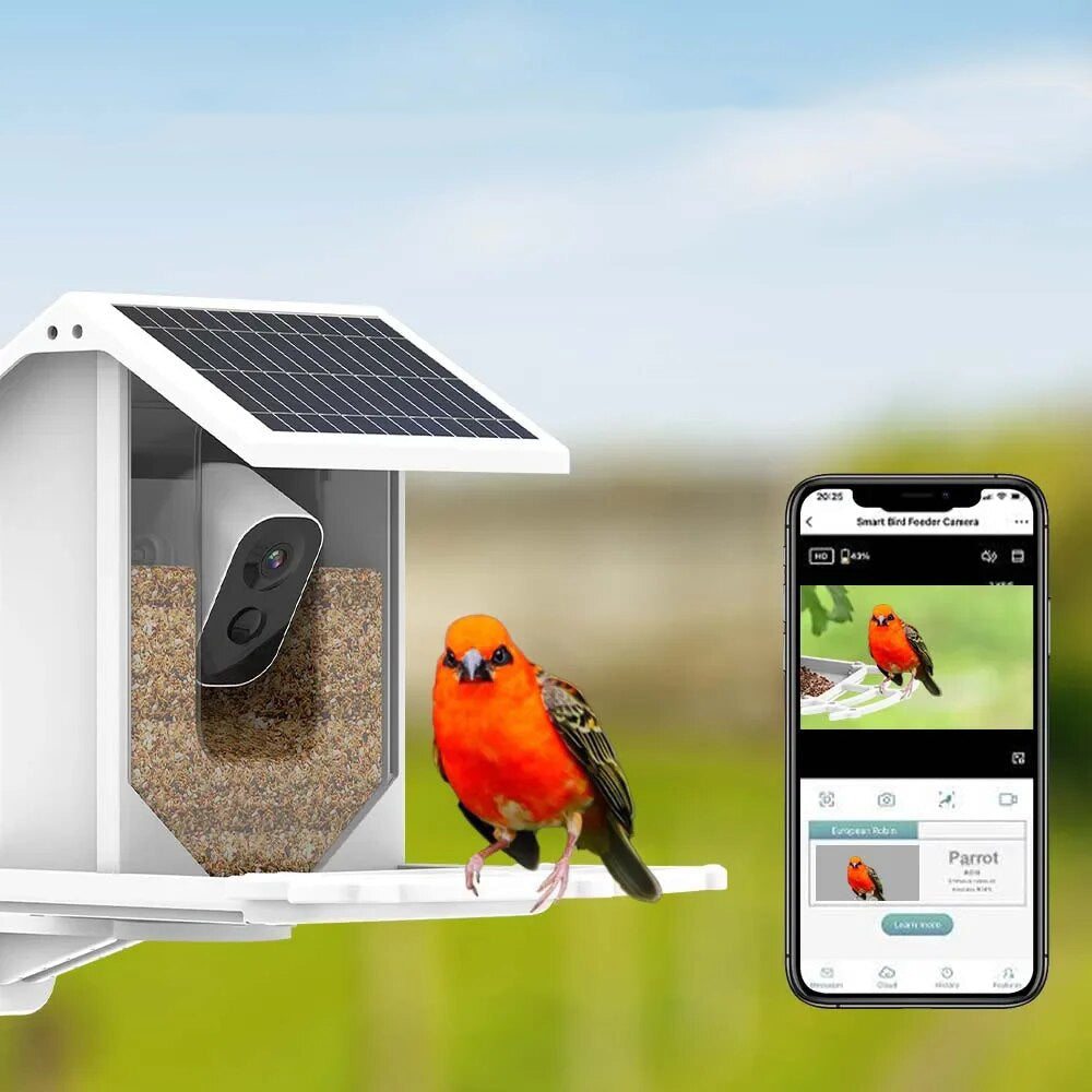 Sandsberg | Smarter Solar-Vogelhäuschen mit Vogelerkennung – Wetterfester Gartenfütterer