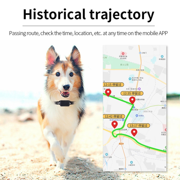Sandsberg | P03 2G Wasserdichter GPS-Tracker für Haustiere GPS+AGPS+WiFi+LBS Locator
