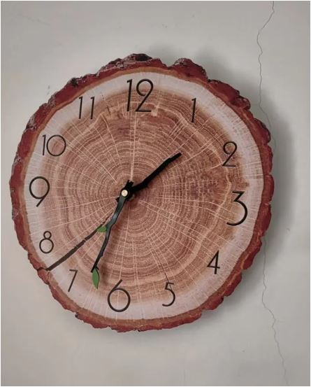 Sandsberg | Holz Jahresringe Wanduhr