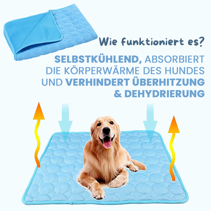 ChillPet - Sommererfrischung und Komfort für Ihren Vierbeiner!