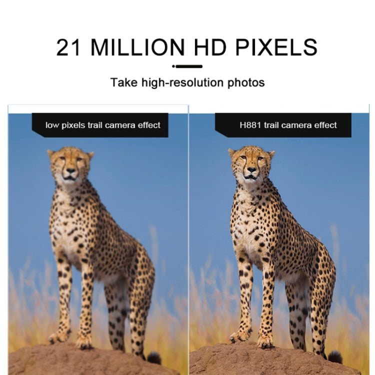 Sandsberg | H881 21 Mega Pixel 2.4 Zoll TFT Bildschirm Jagd Trail Kamera