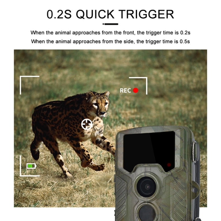 Sandsberg | H881 21 Mega Pixel 2.4 Zoll TFT Bildschirm Jagd Trail Kamera
