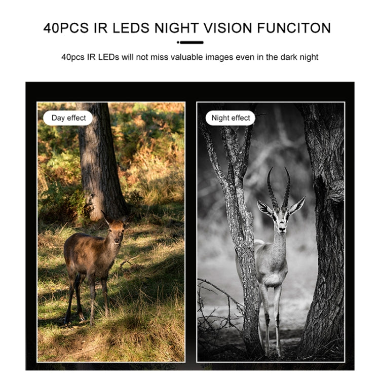 Sandsberg | H881 21 Mega Pixel 2.4 Zoll TFT Bildschirm Jagd Trail Kamera