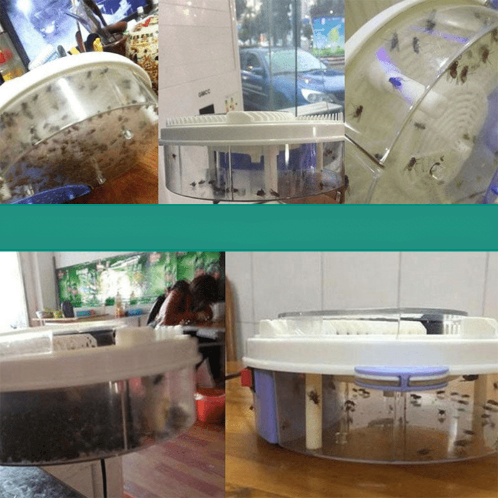 Sandsberg | Leiser, umweltfreundlicher Fliegenfänger für Küche, Wohnzimmer & Garten