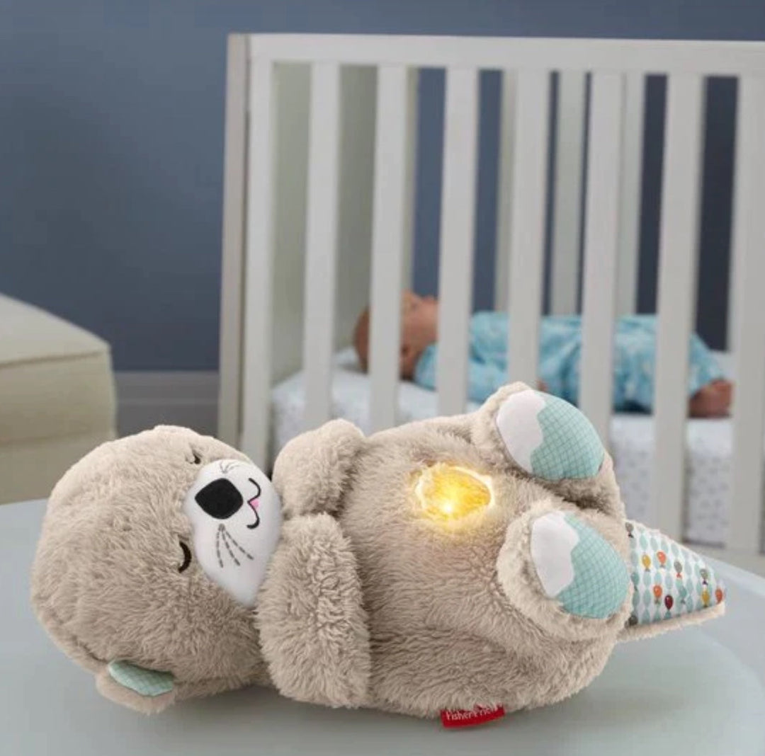 Schlummer | Schlafender Kuschelotter