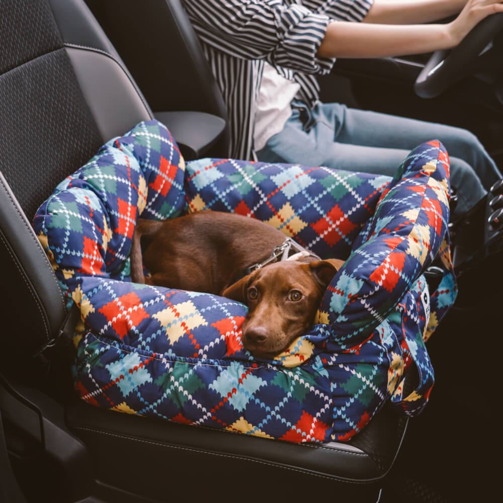Sandsberg | Pet Sitter - Road Trip Haustier Booster
