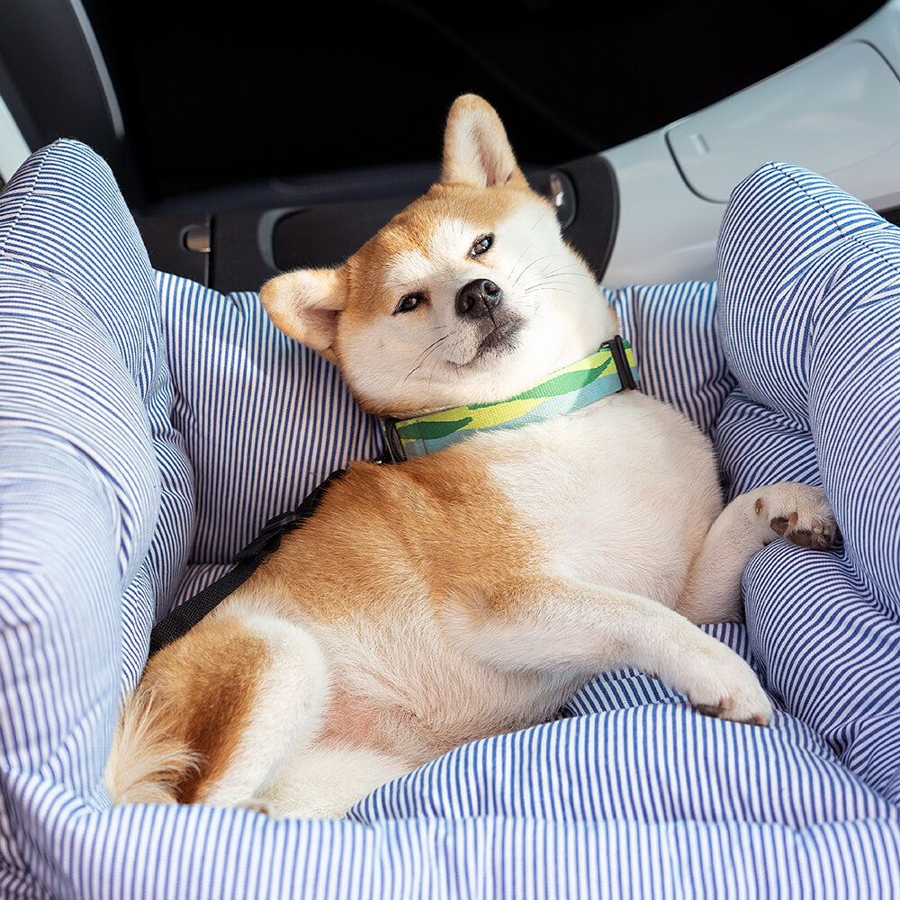 Sandsberg | Pet Sitter - Road Trip Haustier Booster
