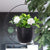 Sandsberg | Minimalistisch & Zeitlos Hängender Blumentopf