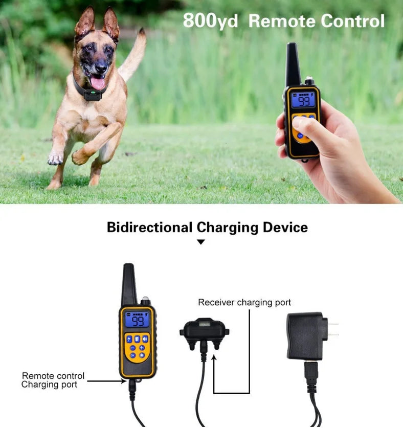 Sandsberg | Elektronisches Hundetraining E-Halsband – Sicher, effektive Fernbedienung