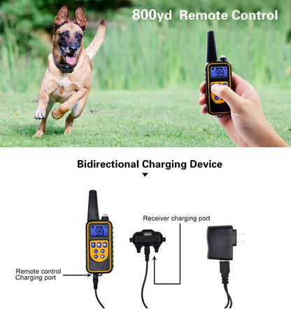Sandsberg | Elektronisches Hundetraining E-Halsband – Sicher, effektive Fernbedienung