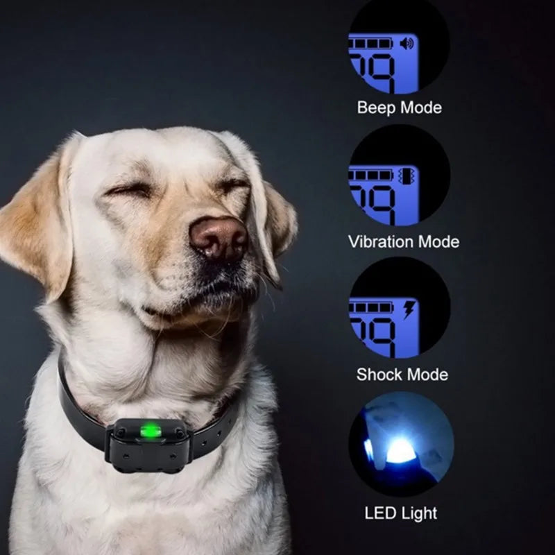 Sandsberg | Elektronisches Hundetraining E-Halsband – Sicher, effektive Fernbedienung