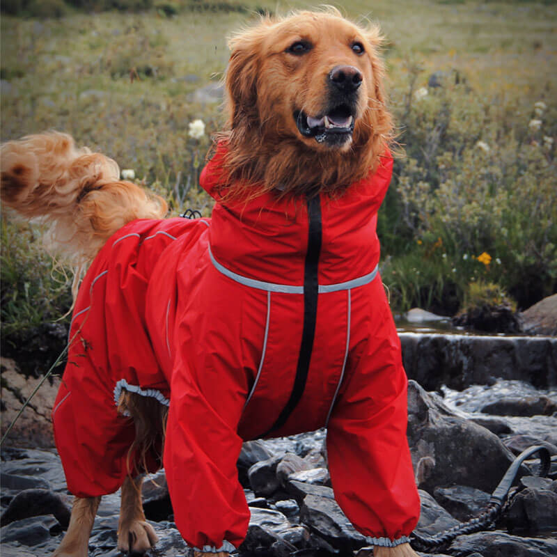 Sandsberg | Hund Outdoor Jacke Wasserdicht Verstellbarer Hunderegenmantel